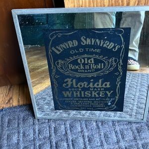RARE Lynyrd Skynyrd Carnival Mirror